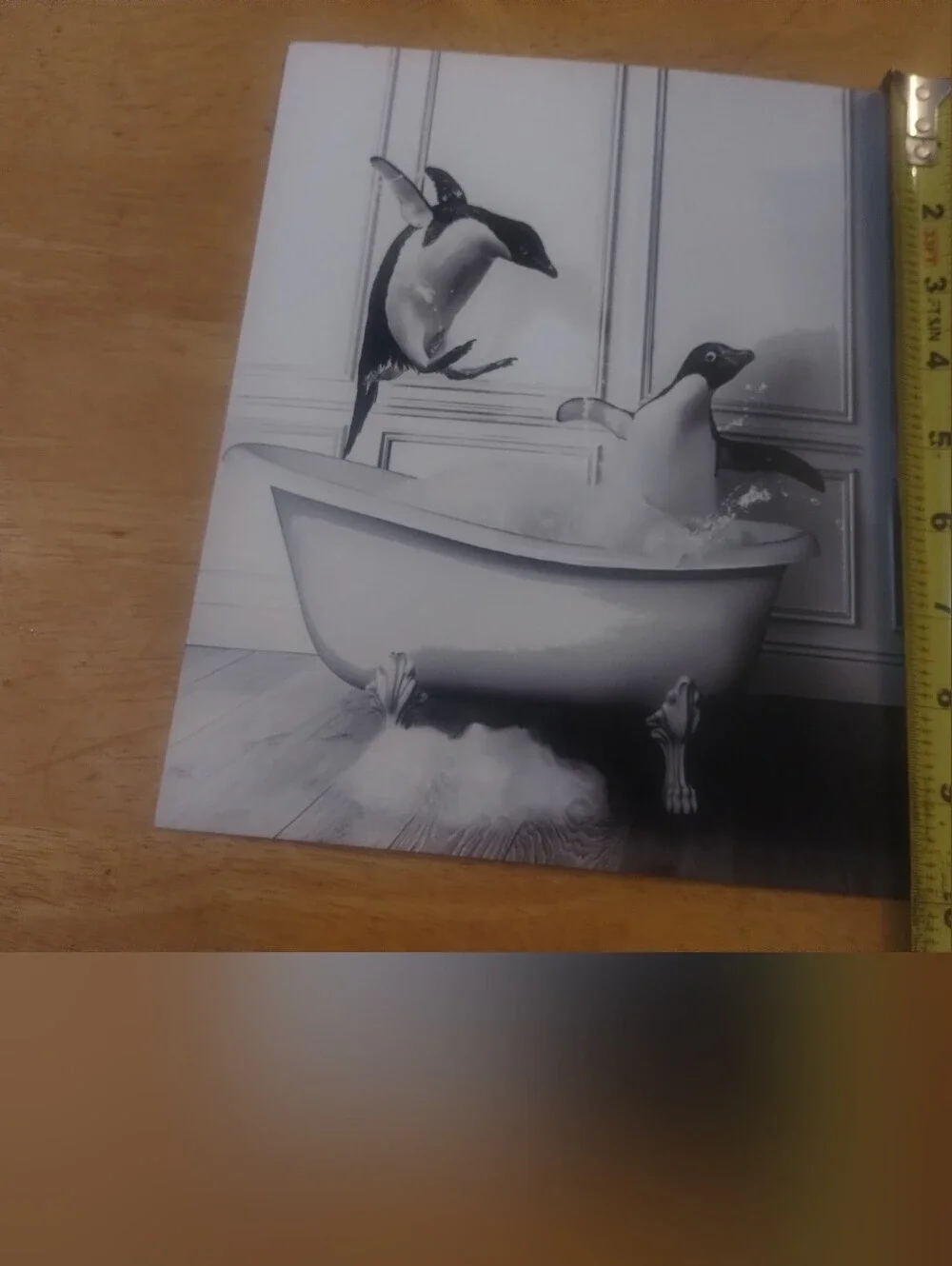 🐧 Black & White Penguin Bathroom Wall Art Print Stock Card 🛁❄️